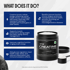Monthly Stack | Pre Workout + Creatine Bundle